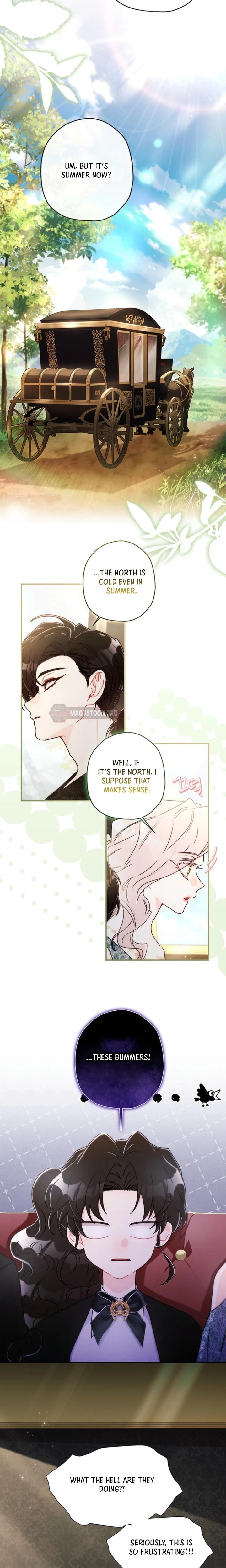 The Male Lead