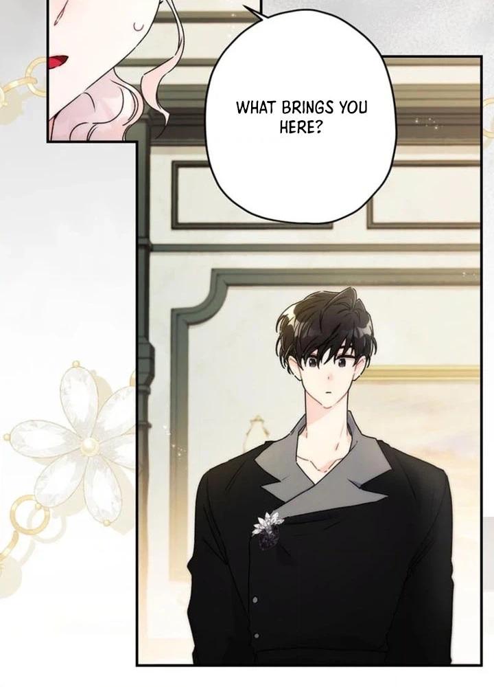 The Male Lead