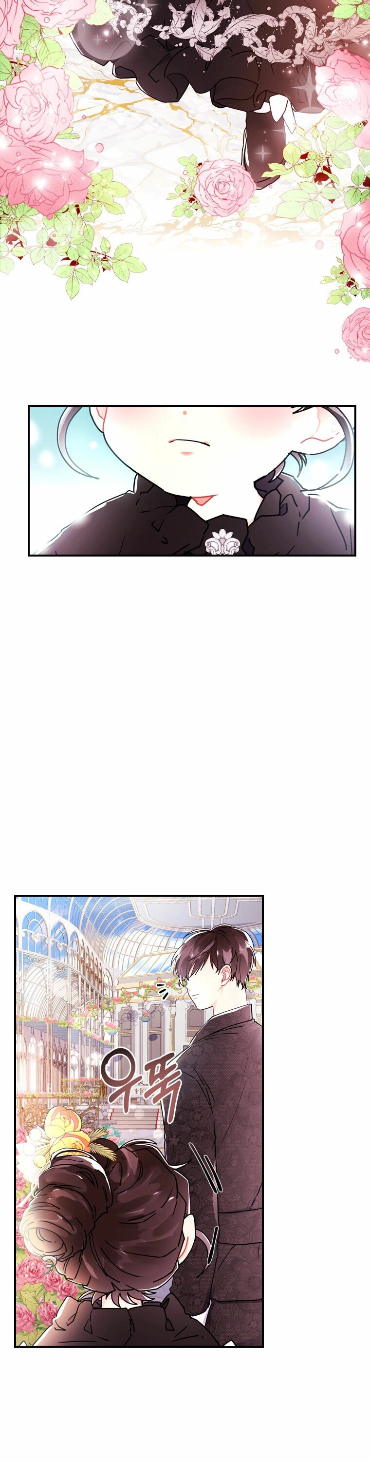 The Male Lead