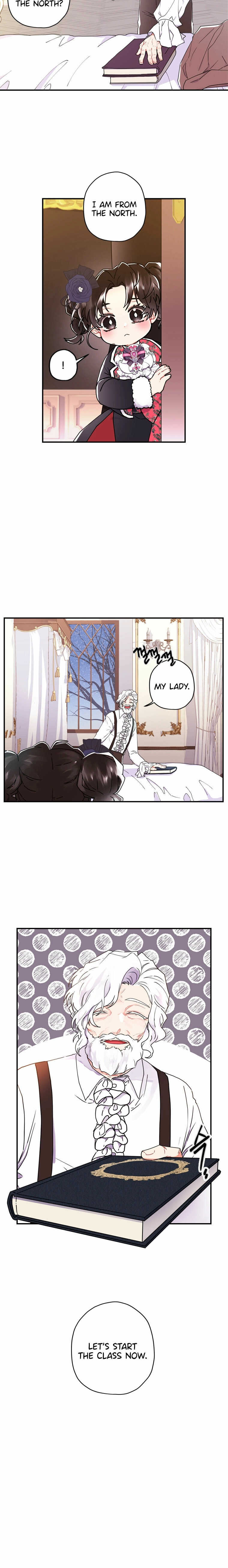 The Male Lead