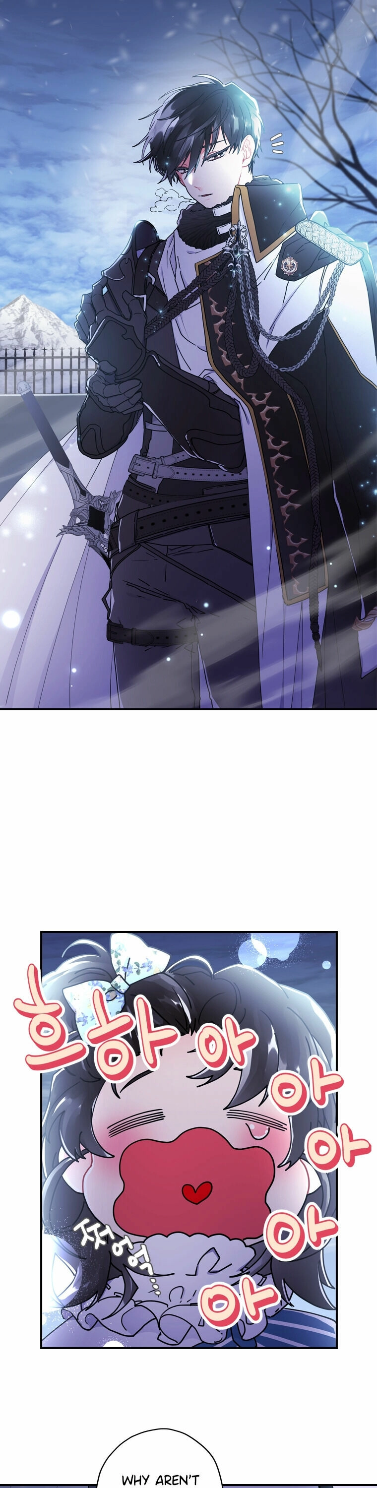 The Male Lead