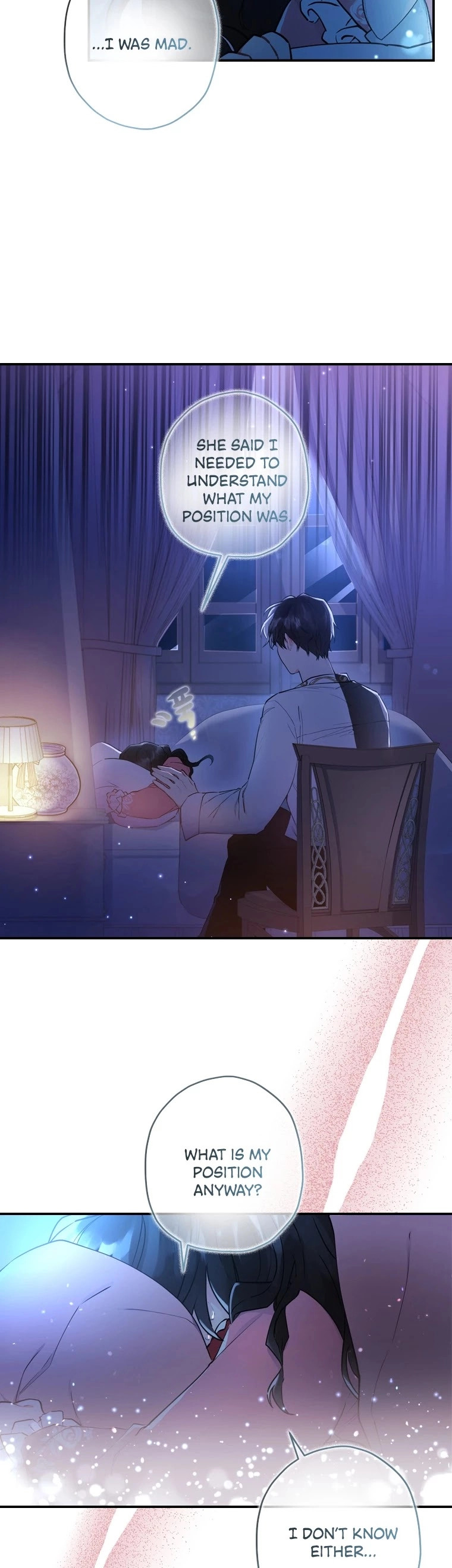 The Male Lead