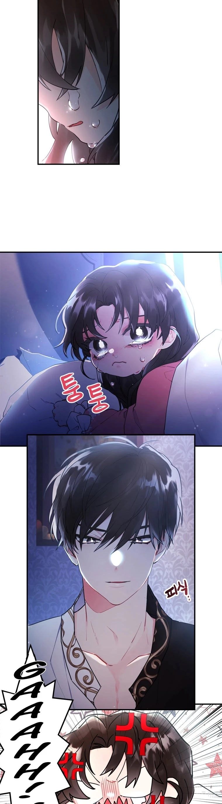 The Male Lead