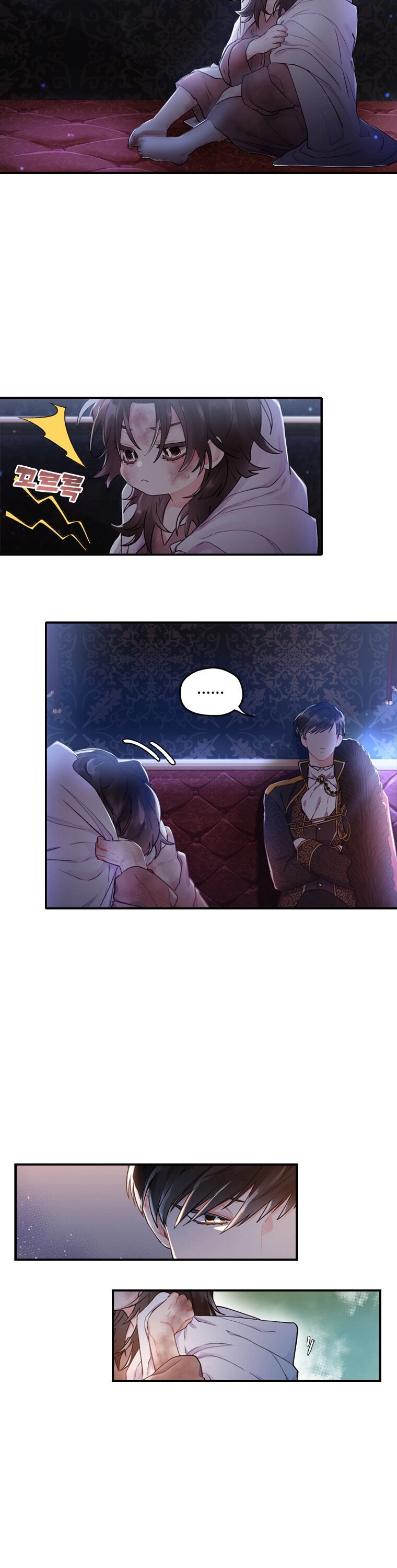 The Male Lead