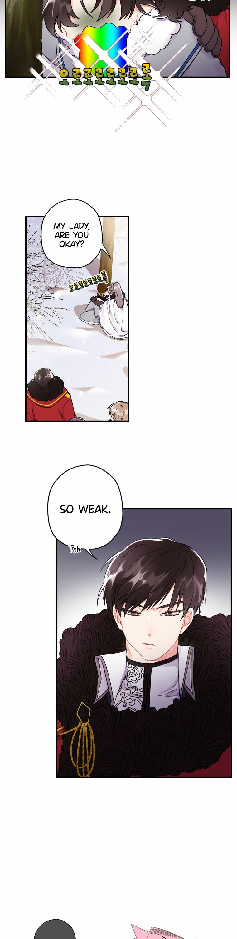 The Male Lead