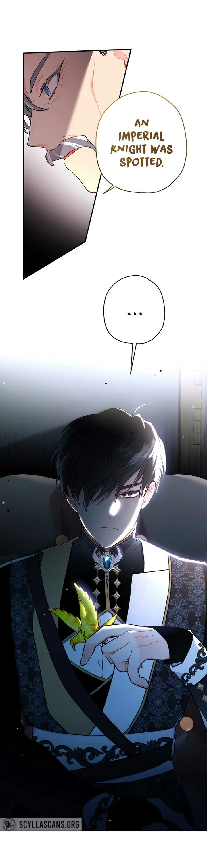 The Male Lead