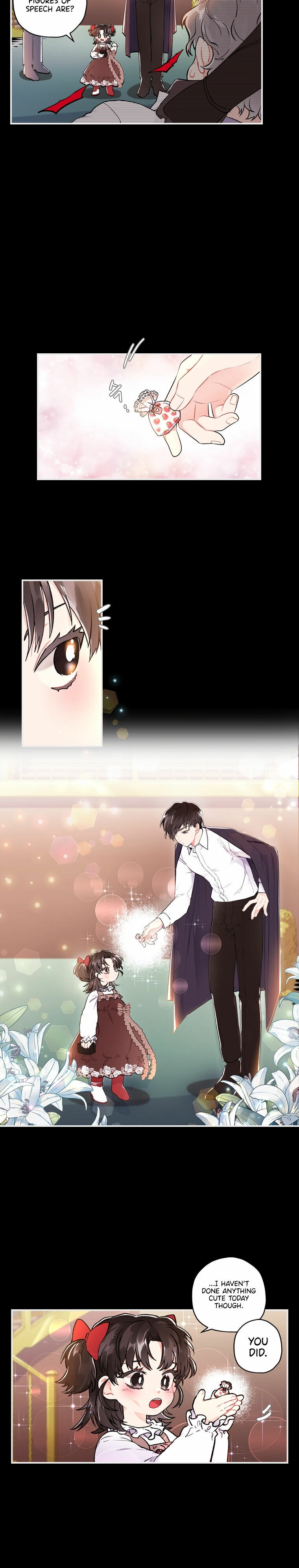 The Male Lead