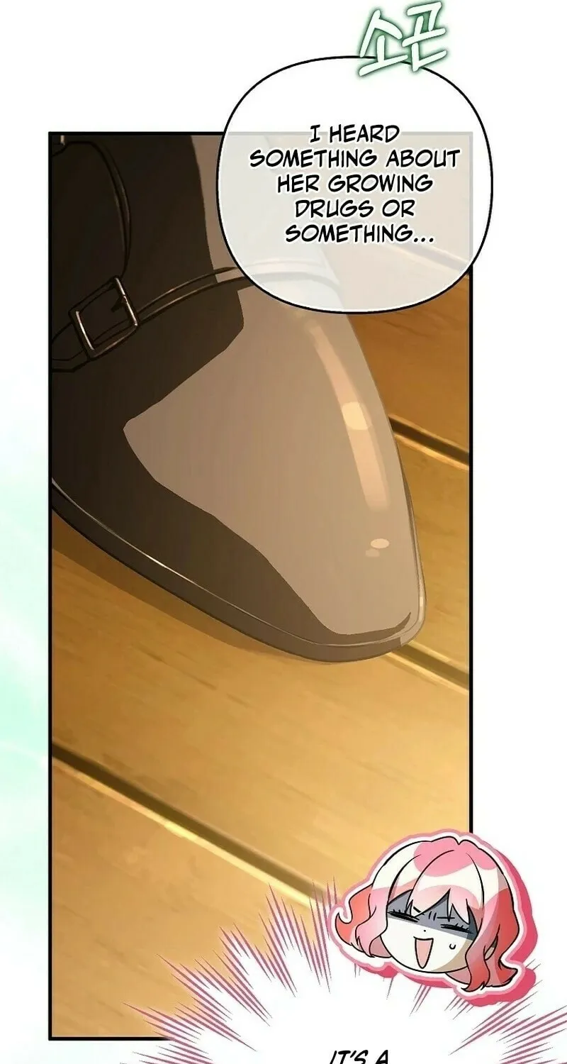 The Male Leads Trapped in My House Chapter 11 page 13 - 
