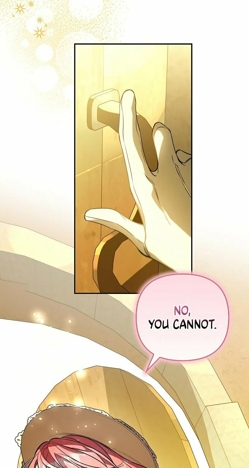The Male Leads Trapped in My House Chapter 17 page 69 - 