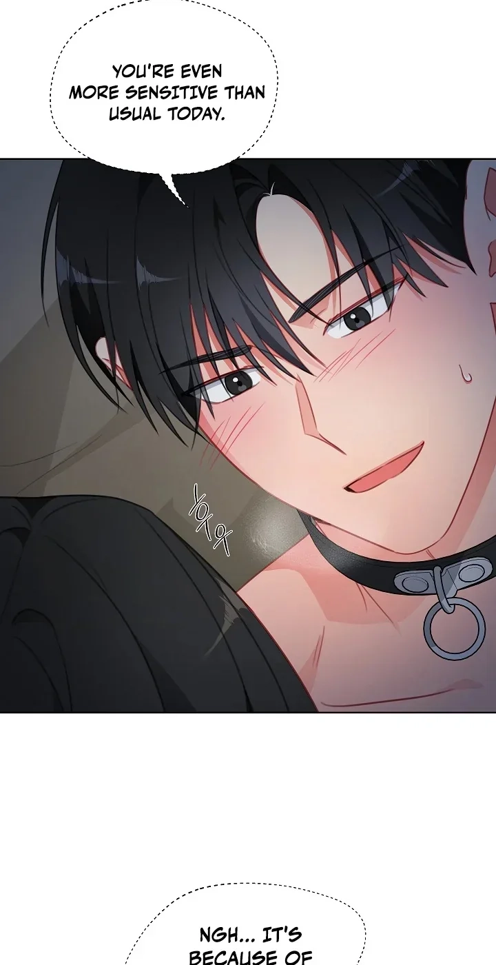The Males of the Breeding Room Chapter 25 page 43 - 