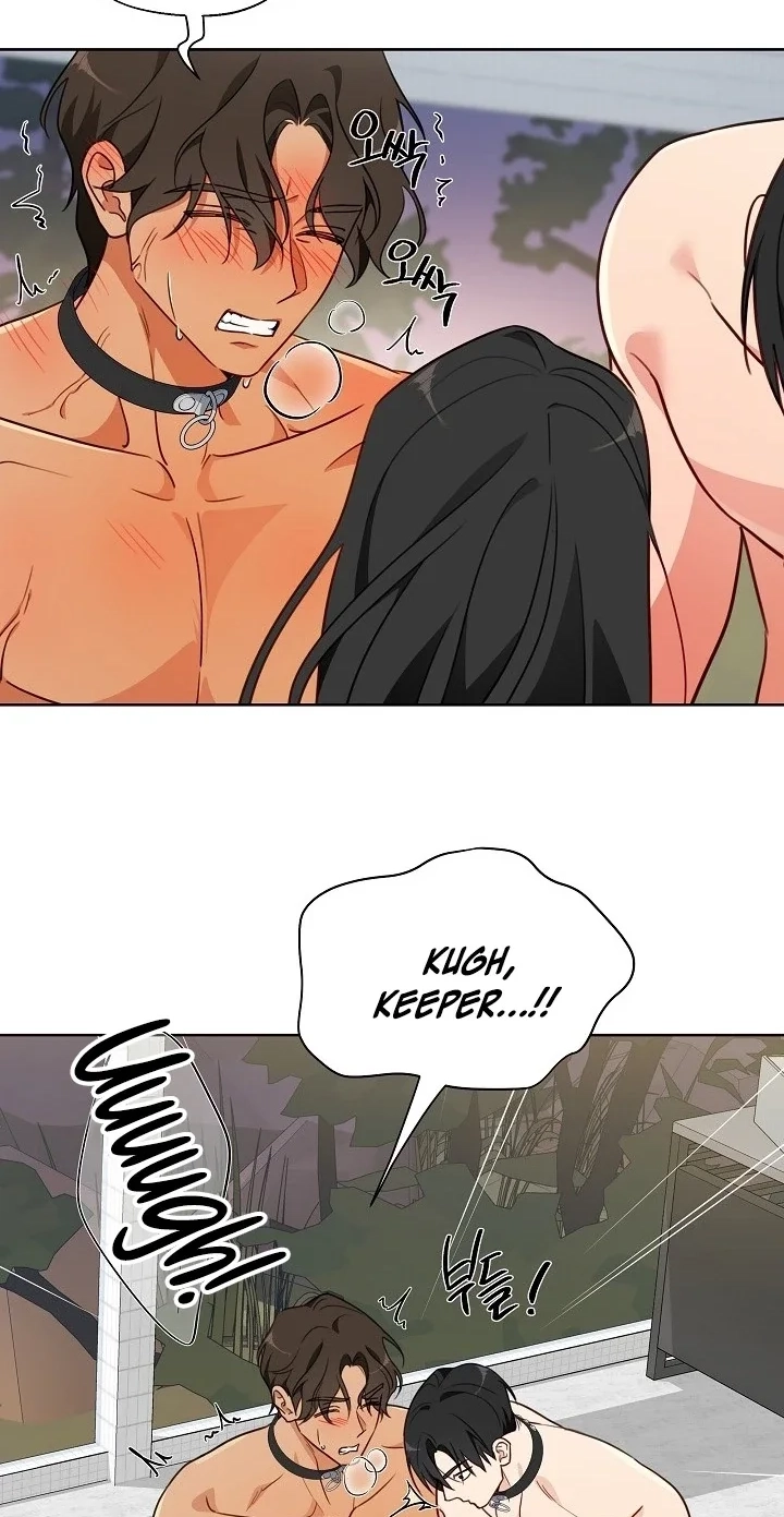 The Males of the Breeding Room Chapter 8 page 18 - 