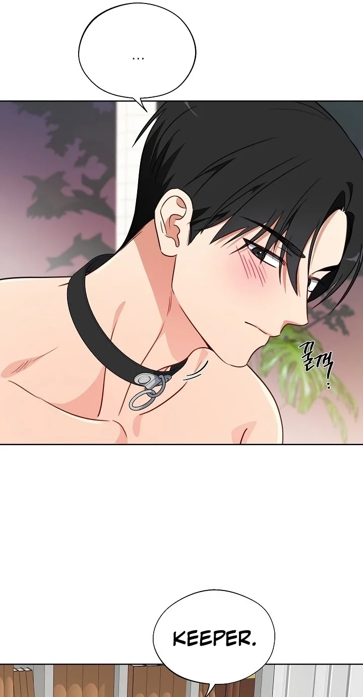 The Males of the Breeding Room Chapter 8 page 21 - 