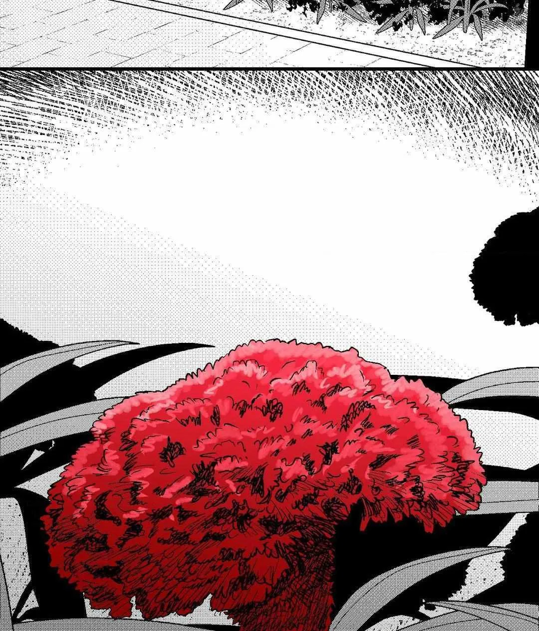 The Man At Night Chapter 79 page 61 - 