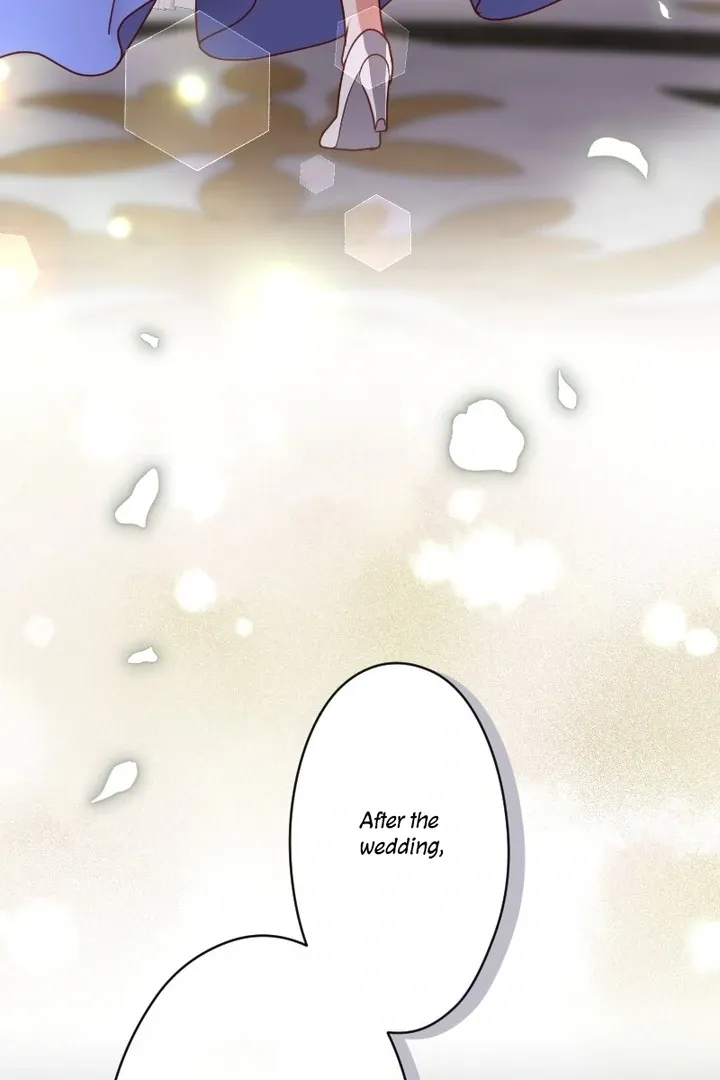 The man I had a one-night stand with turned out to be my fiancé Chapter 8 page 71 - 