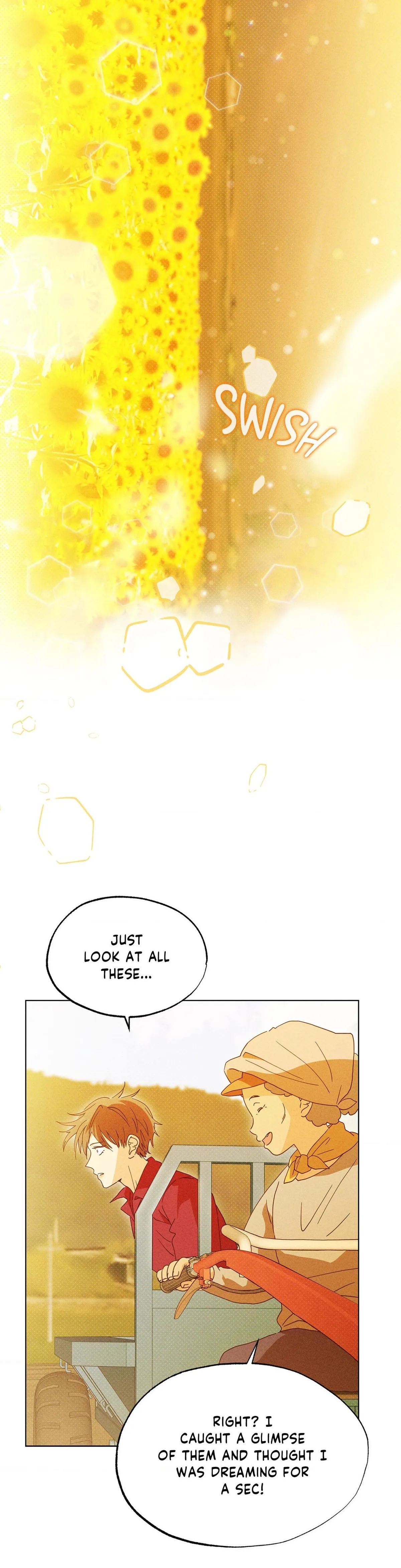 The Man in the Pepper Field Chapter 19 page 16 - 