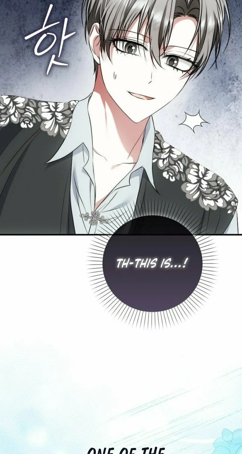 The Maniacs are Obsessed With the Fake Chapter 15 page 66 - 