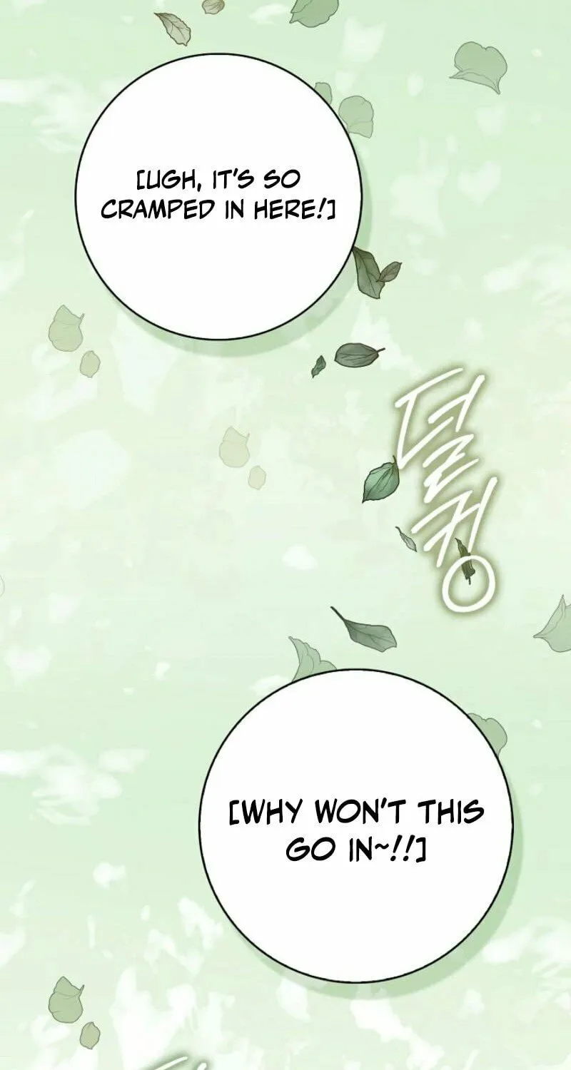 The Maniacs are Obsessed With the Fake Chapter 2 page 95 - 