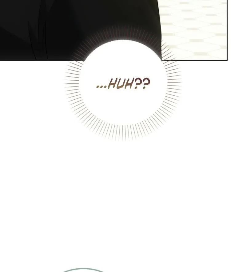 The Maniacs are Obsessed With the Fake Chapter 24 page 52 - 