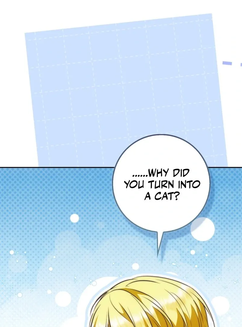 The Maniacs are Obsessed With the Fake Chapter 28 page 152 - 
