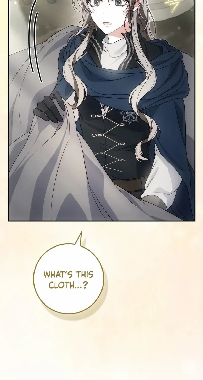 The Maniacs are Obsessed With the Fake Chapter 36 page 27 - 