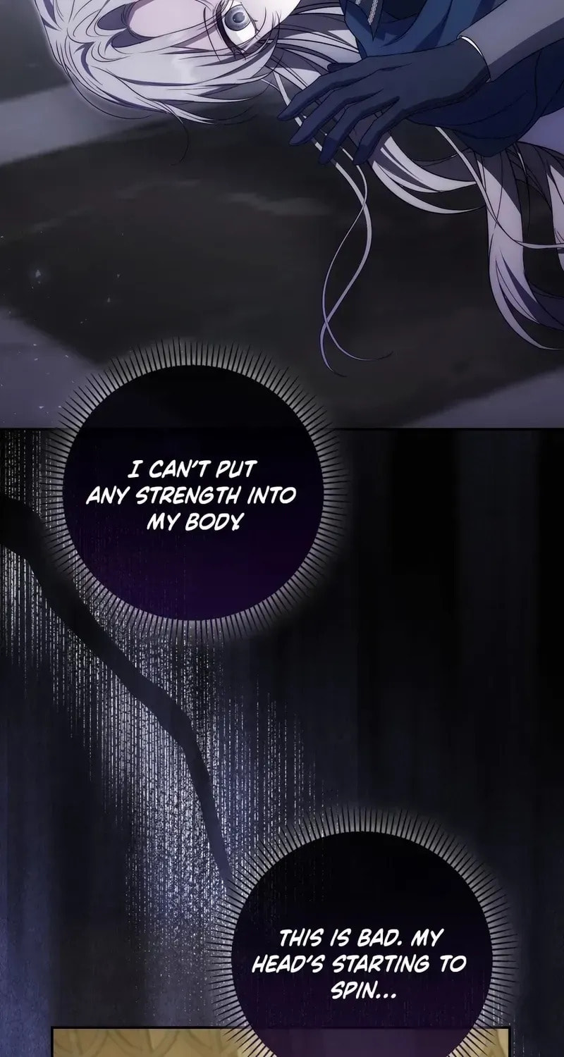 The Maniacs are Obsessed With the Fake Chapter 36 page 41 - 
