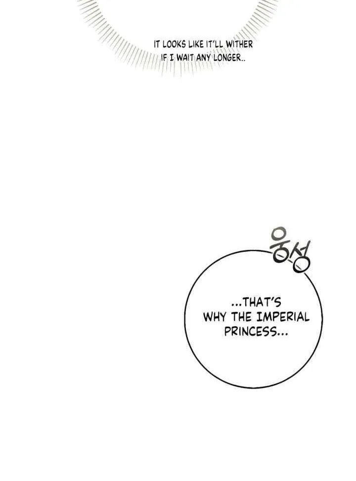The Maniacs are Obsessed With the Fake Chapter 38 page 89 - 