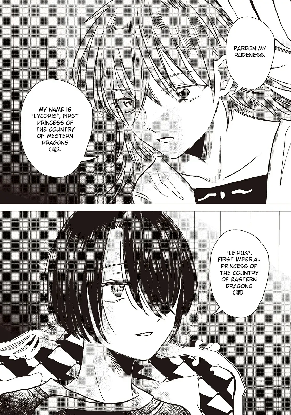 The Marriage of the Two Dragons Chapter 2 page 11 - 