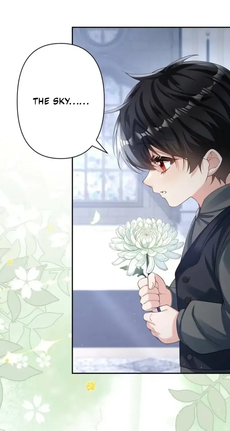 The Marriage Statute Has Expired — I Intended to Begin This Life With a Divorce, But the Prince Clings to Me Chapter 44 page 24 - 