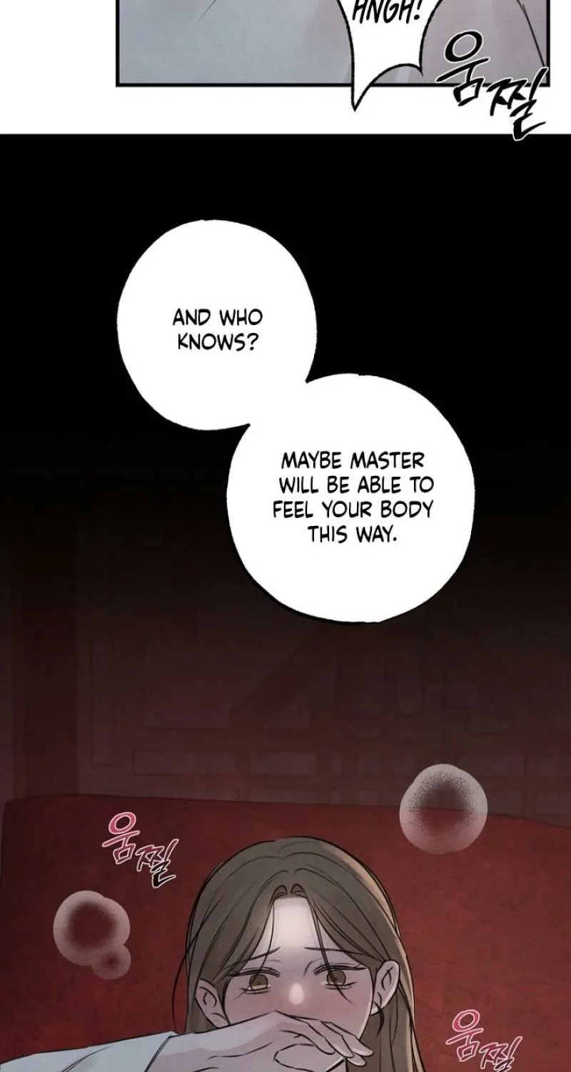 The Master