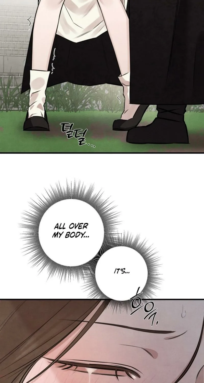 The Master