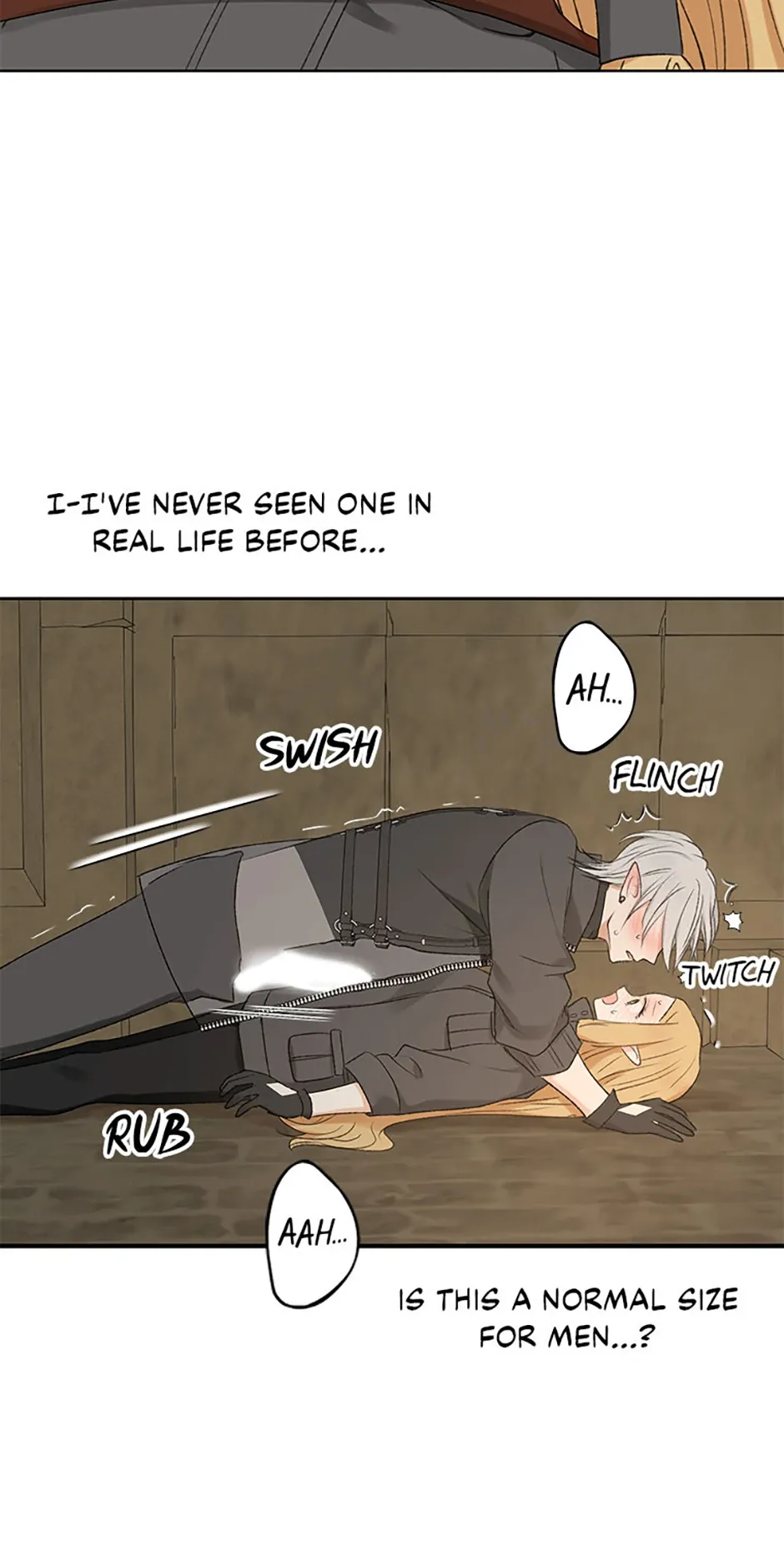 The Mating of Elves Chapter 2 page 78 - 
