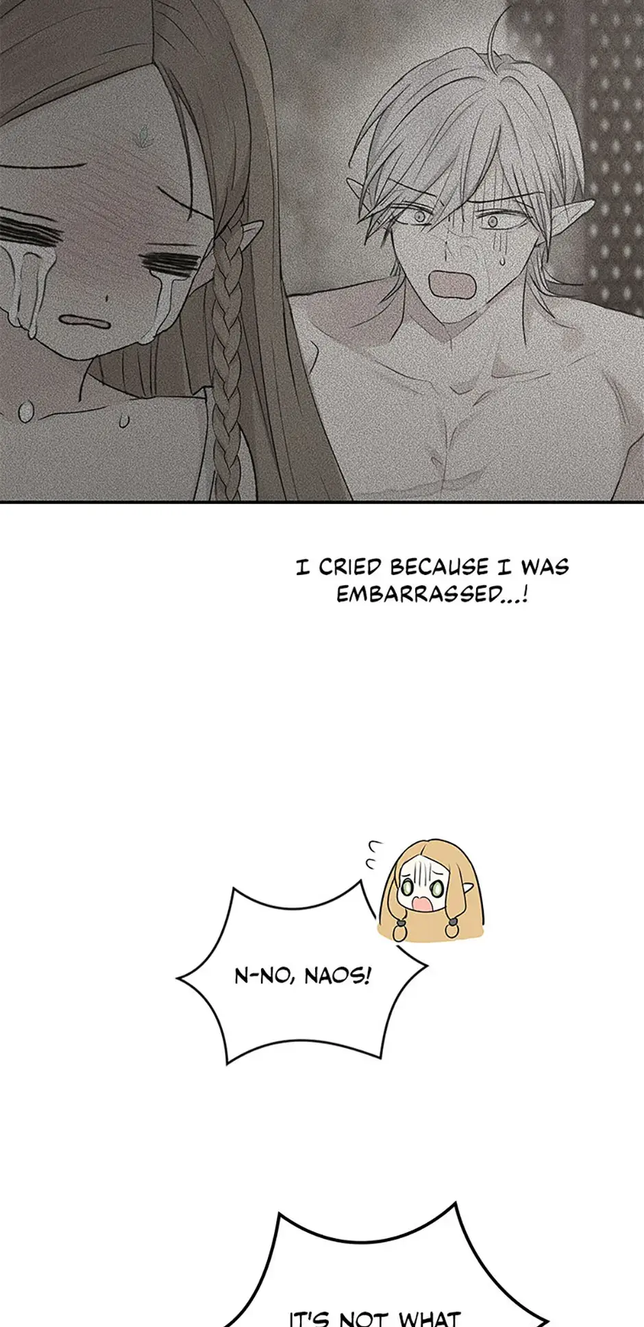 The Mating of Elves Chapter 9 page 19 - 
