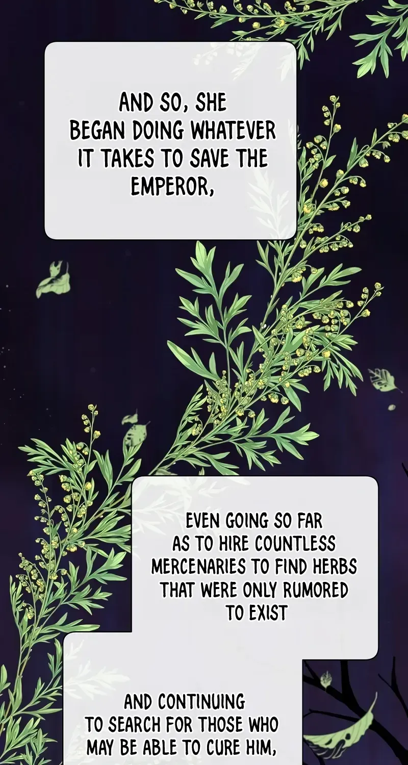 The Max Level Hero Has Returned! Chapter 204 page 5 - 