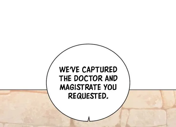 The Max Level Hero Has Returned! Chapter 217 page 29 - 