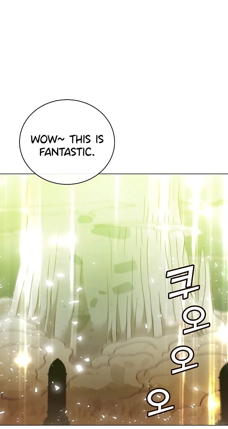 The Max Level Hero Has Returned! Chapter 25 page 2 - 