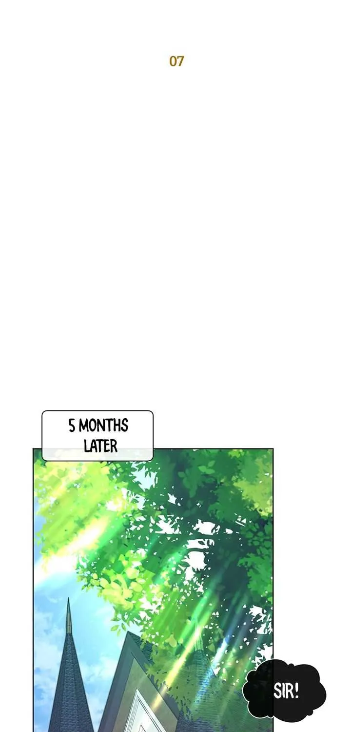 The Max Level Hero Has Returned! Chapter 7 page 13 - 