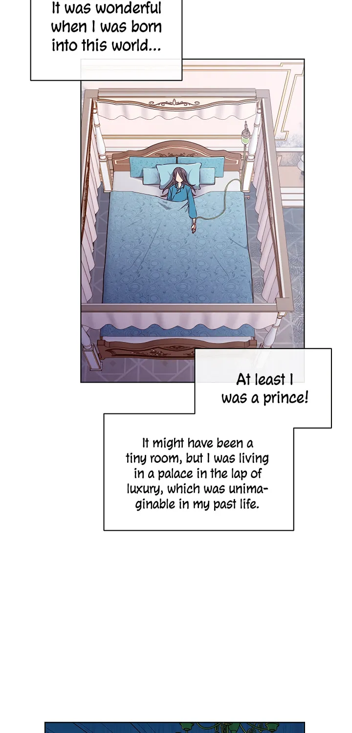 The Max Level Hero Strikes Back! Chapter 1 page 45 - 
