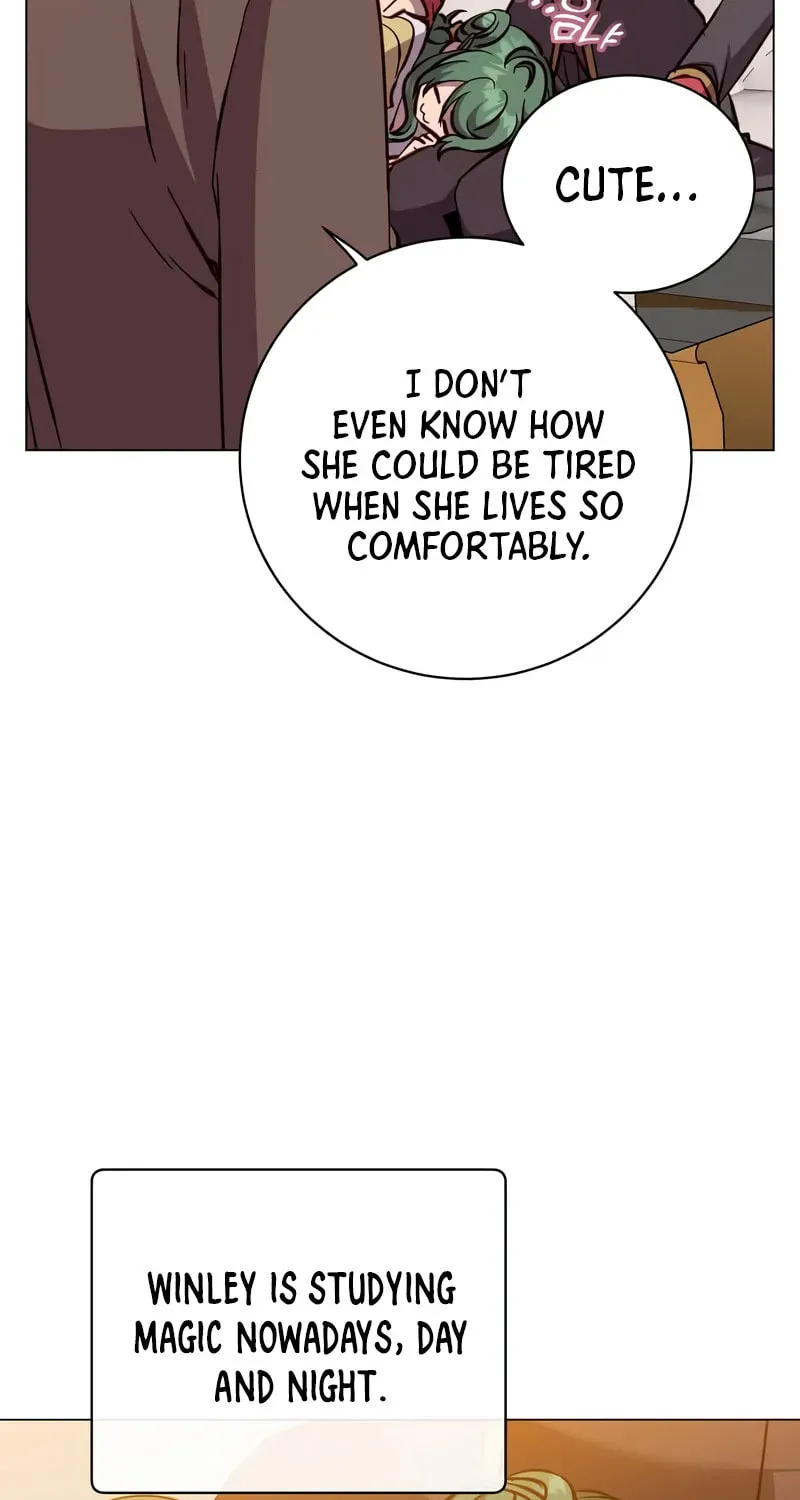 The Max Level Hero Strikes Back! Chapter 191 page 28 - 