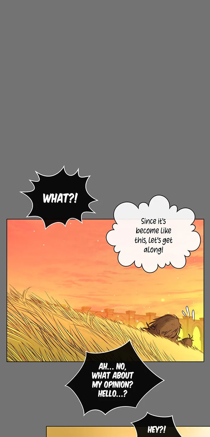 The Max Level Hero Strikes Back! Chapter 2 page 17 - 