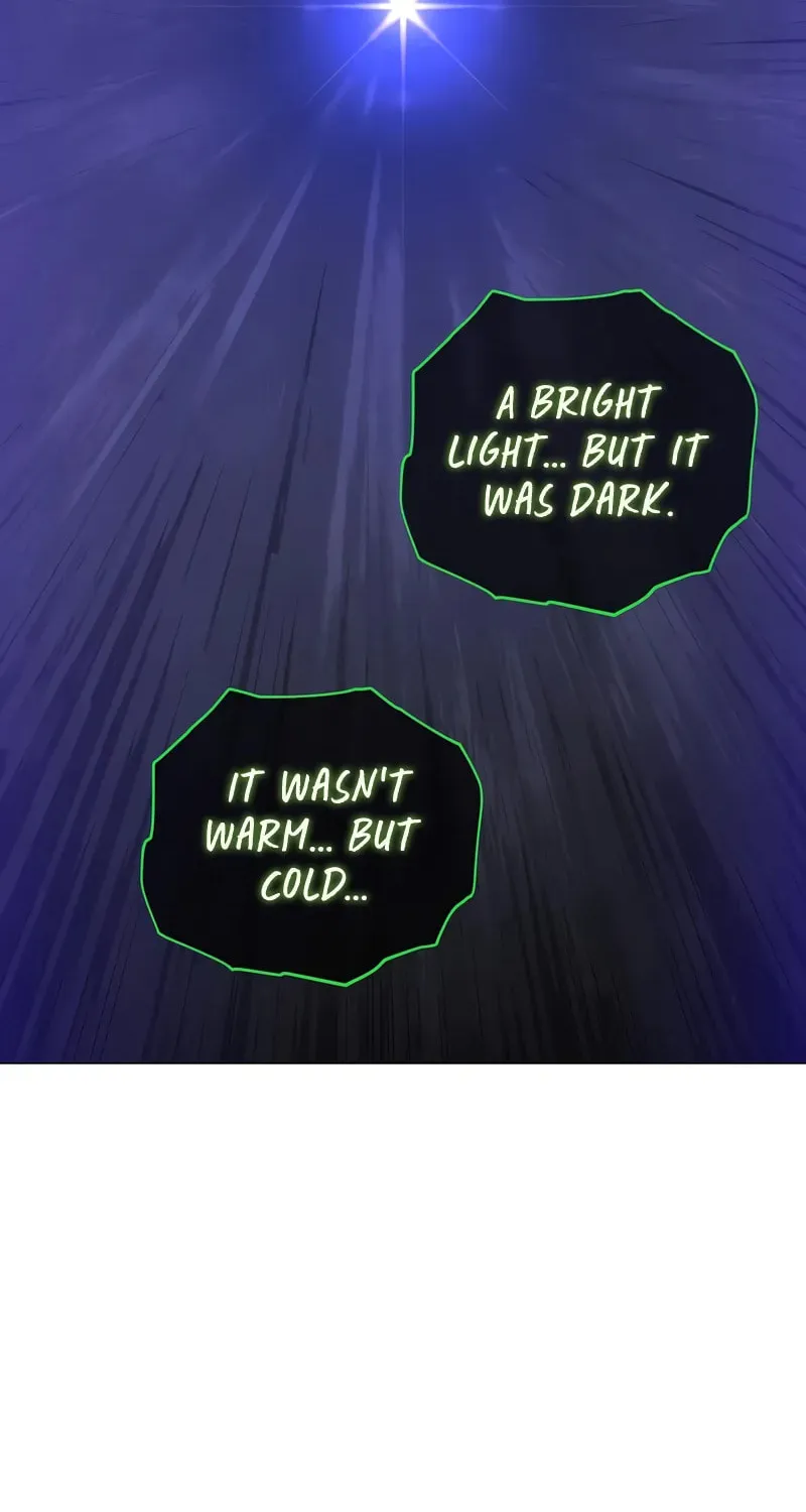The Max Level Hero Strikes Back! Chapter 202 page 45 - 