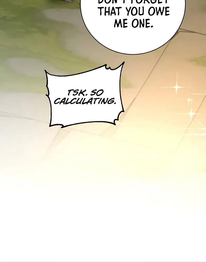 The Max Level Hero Strikes Back! Chapter 205 page 61 - 