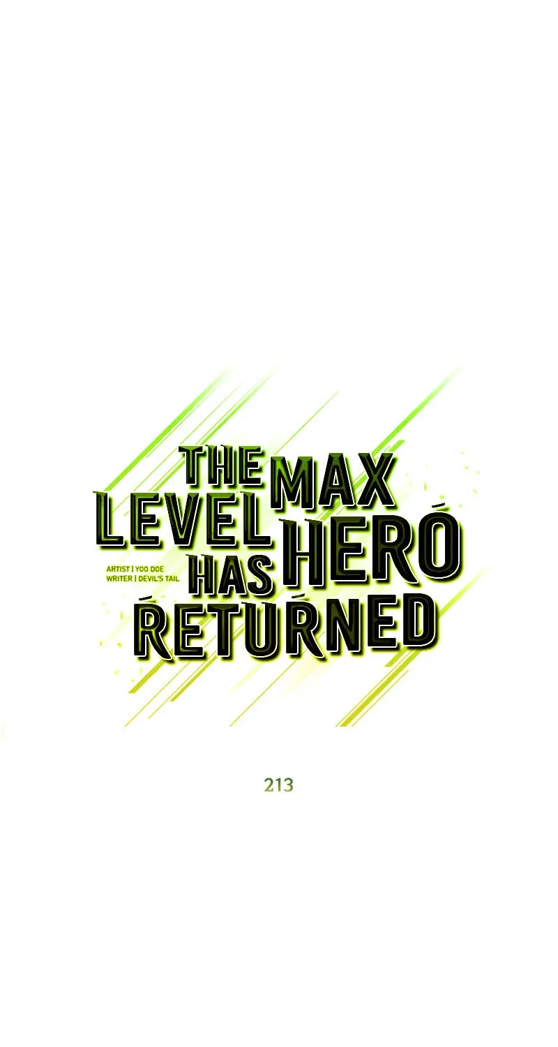 The Max Level Hero Strikes Back! Chapter 213 page 14 - 