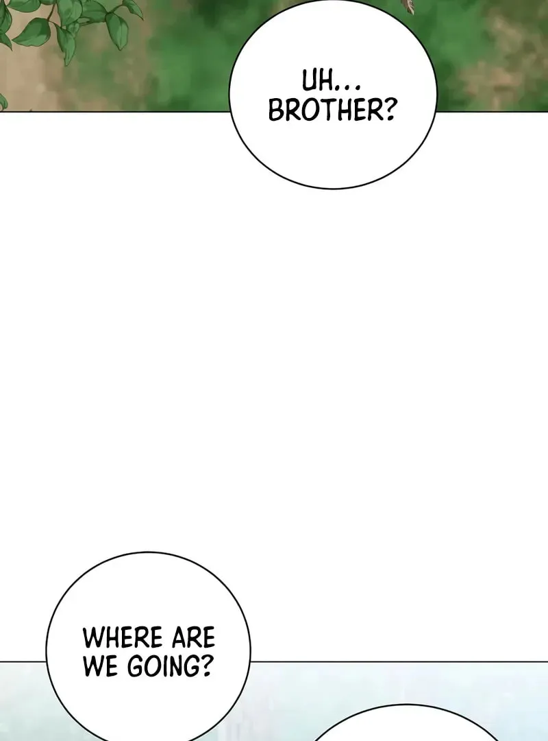 The Max Level Hero Strikes Back! Chapter 218 page 24 - 