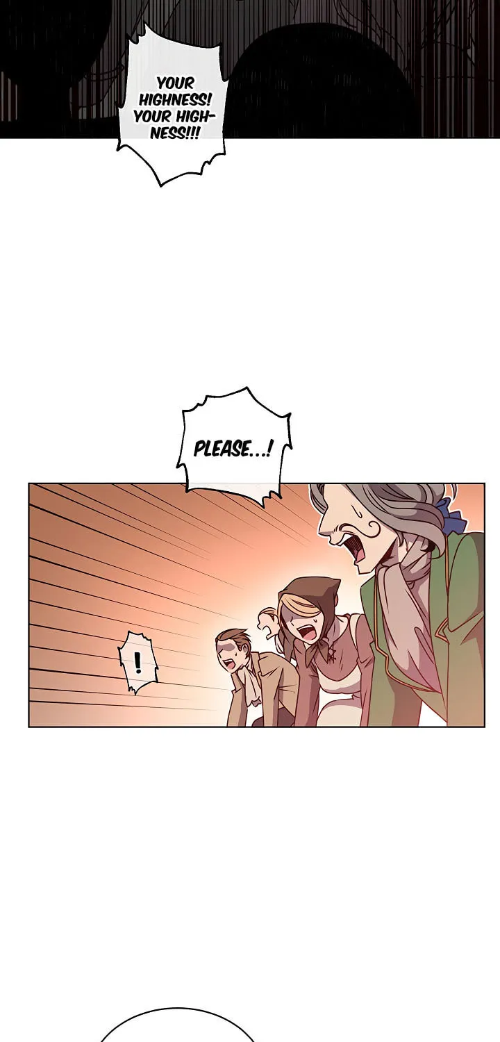 The Max Level Hero Strikes Back! Chapter 9 page 36 - 