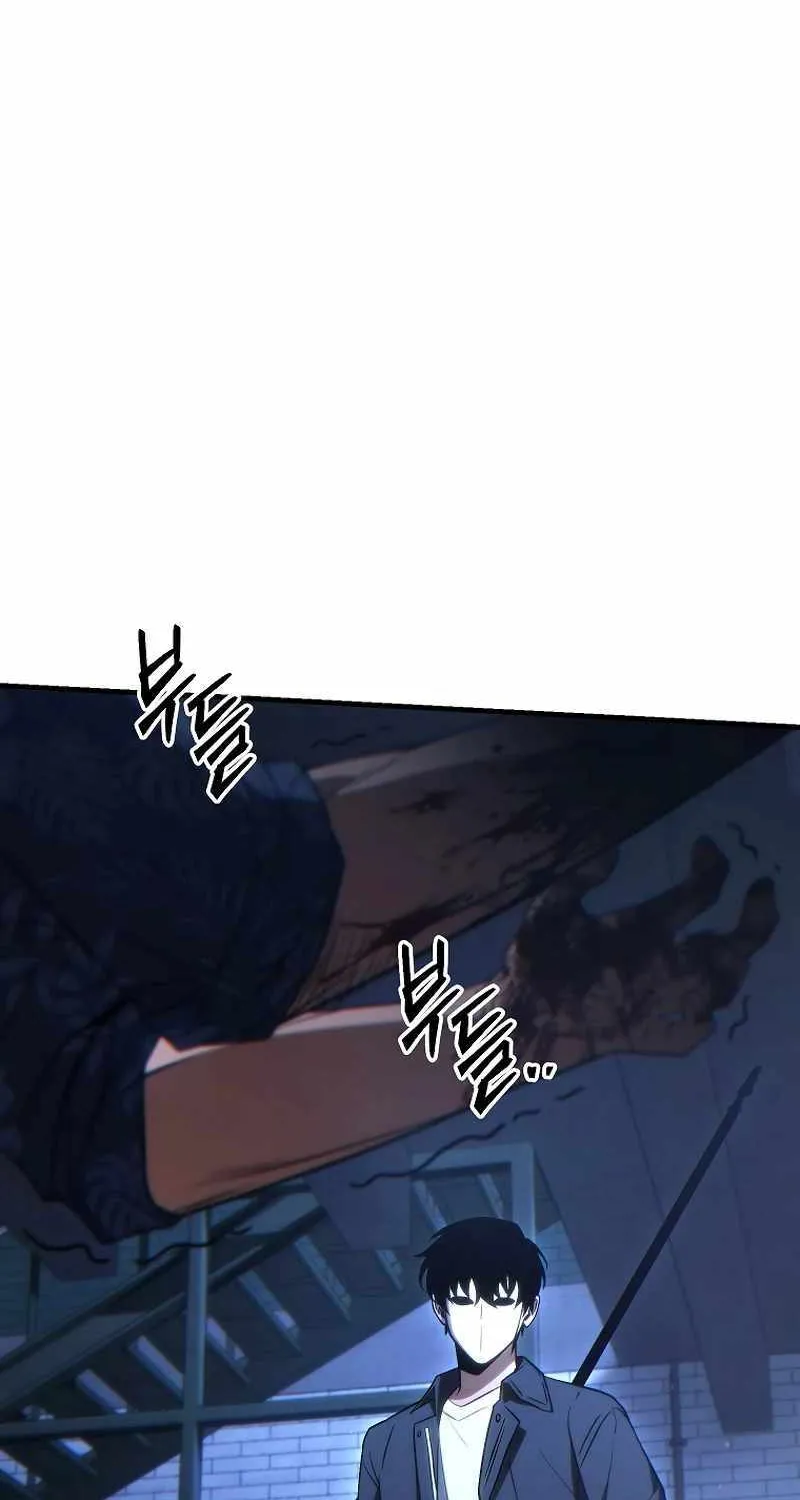 The Max-Level Player’s 100th Regression Chapter 30 page 16 - 