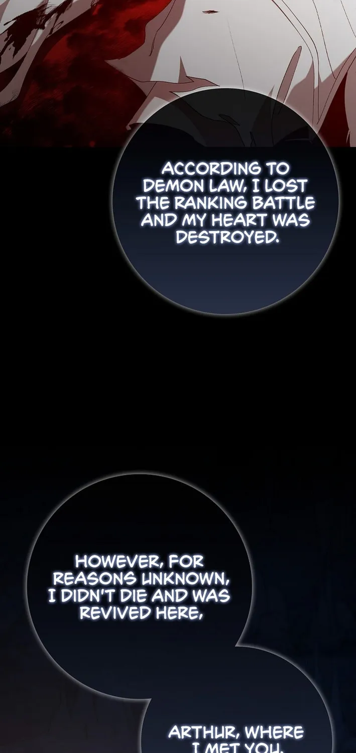 The Maxed-out Player Chapter 113 page 25 - 