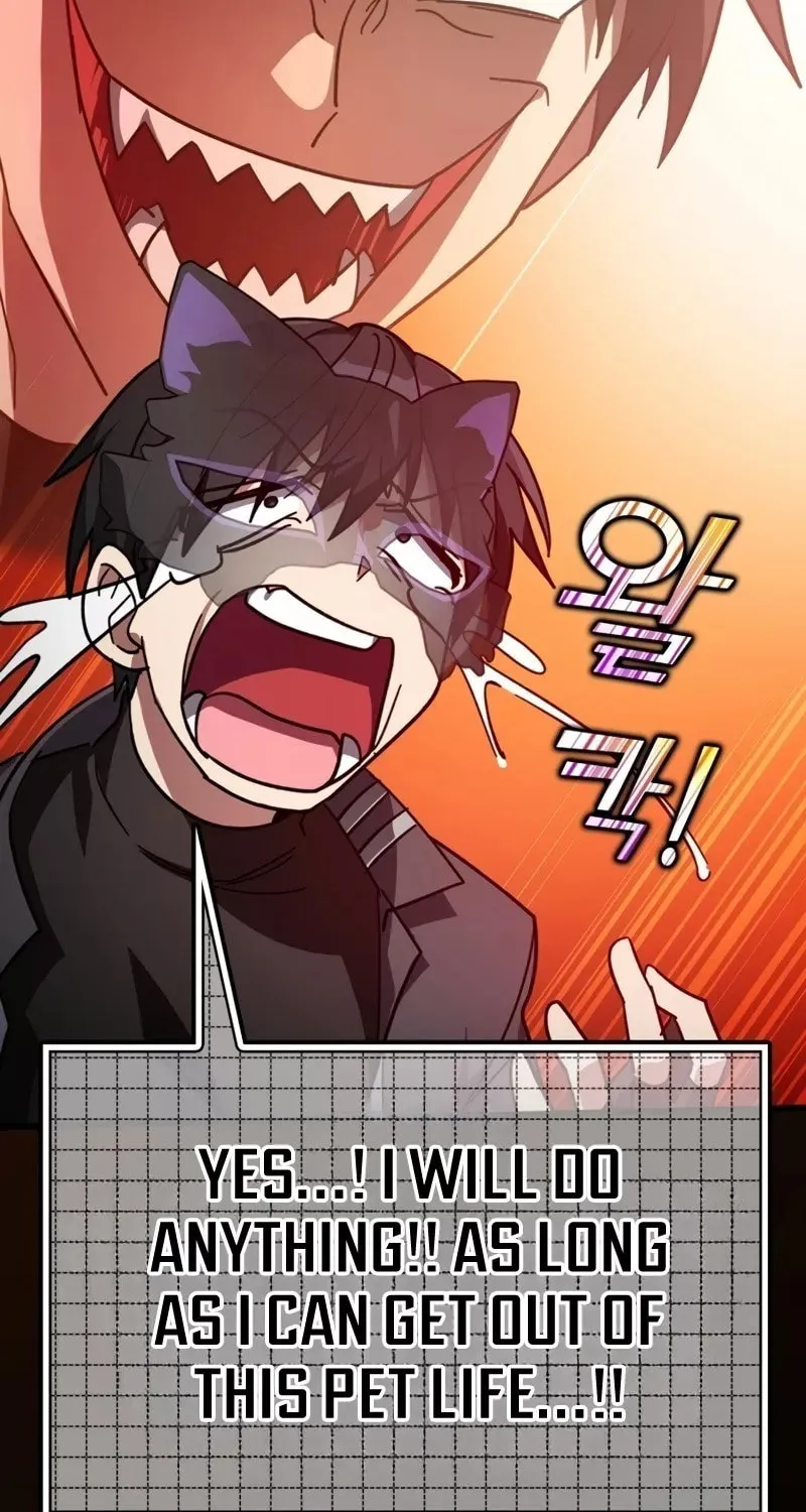 The Maxed-out Player Chapter 18 page 105 - 