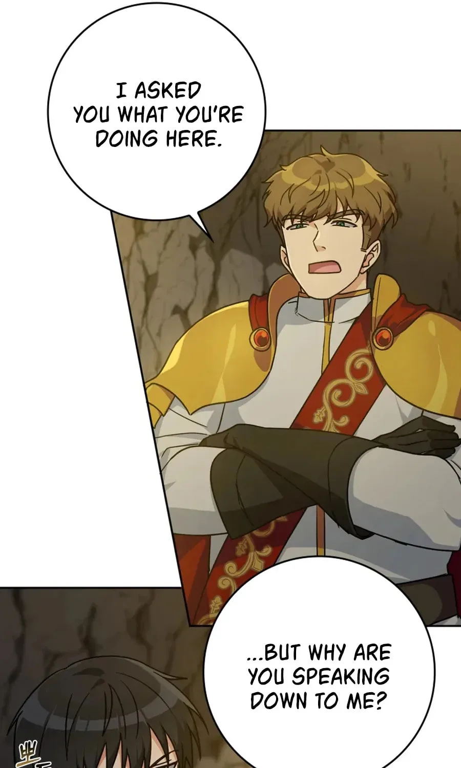 The Maxed-out Player Chapter 7 page 21 - 