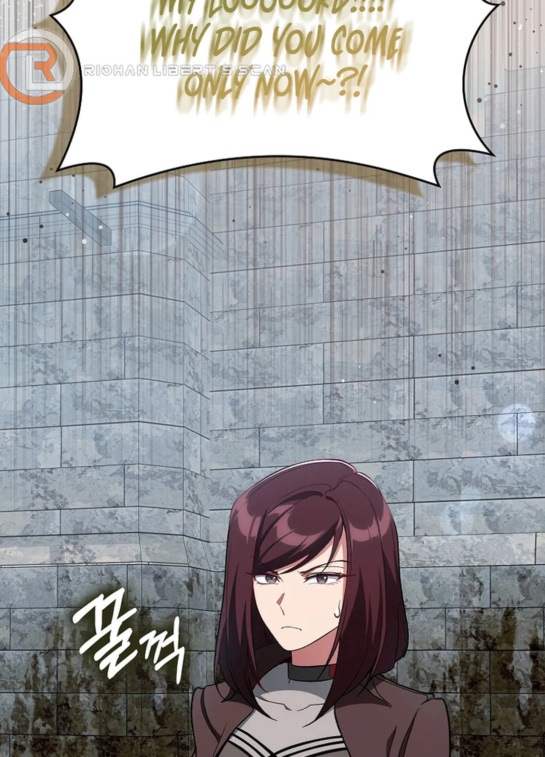 The Maxed-out Player Chapter 91 page 13 - 