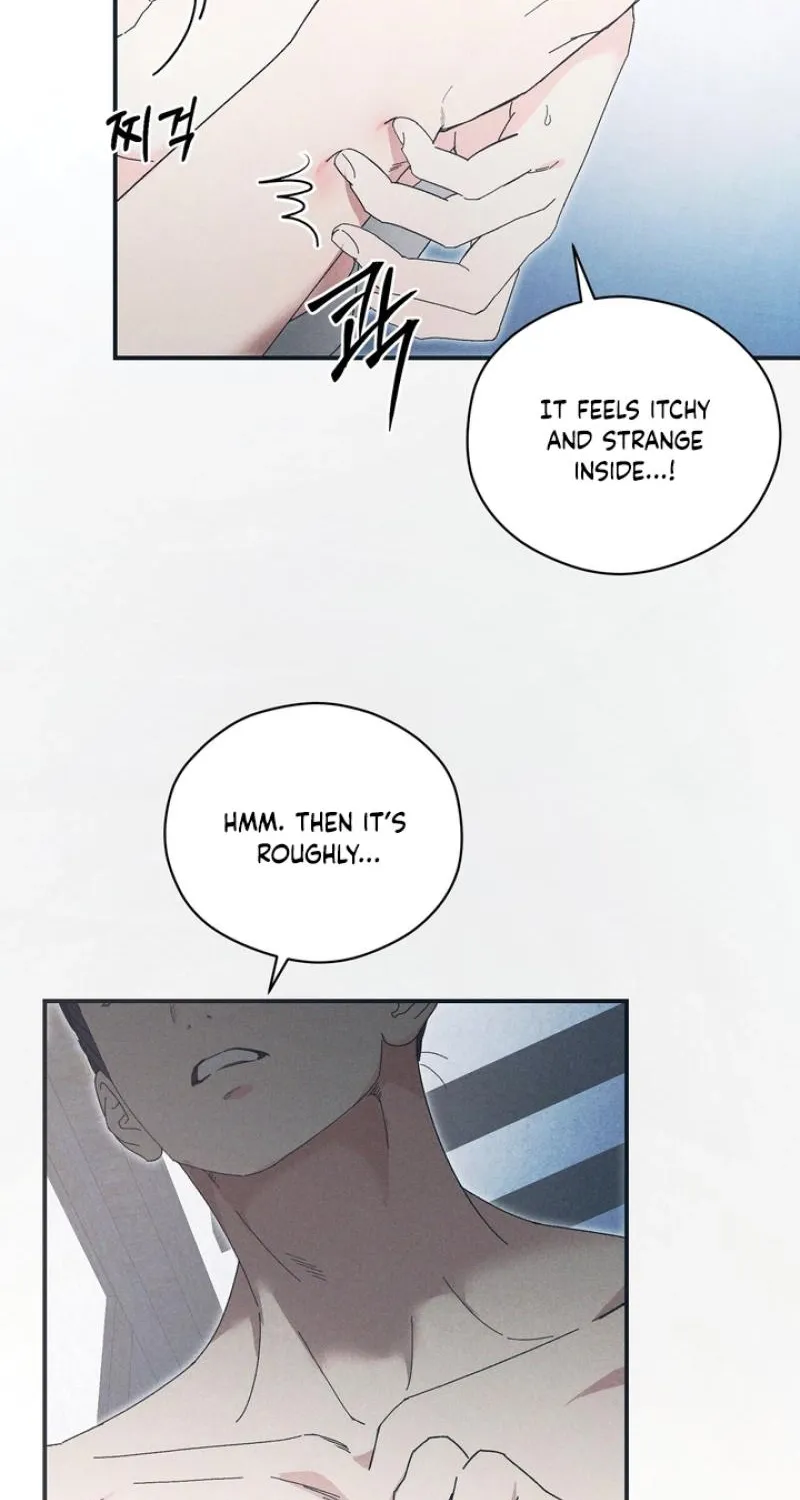 The Meaning of the White Pine Chapter 14 page 12 - 